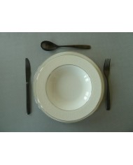 Porcelain dishes with platinum set of 20 pieces